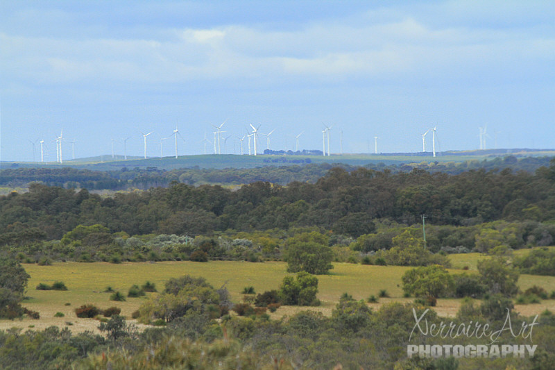 Caught a look at a wind farm in the distance.