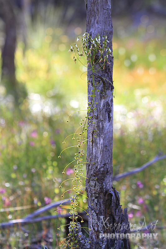 Practically my favorite shot of the day, all those happy colors.