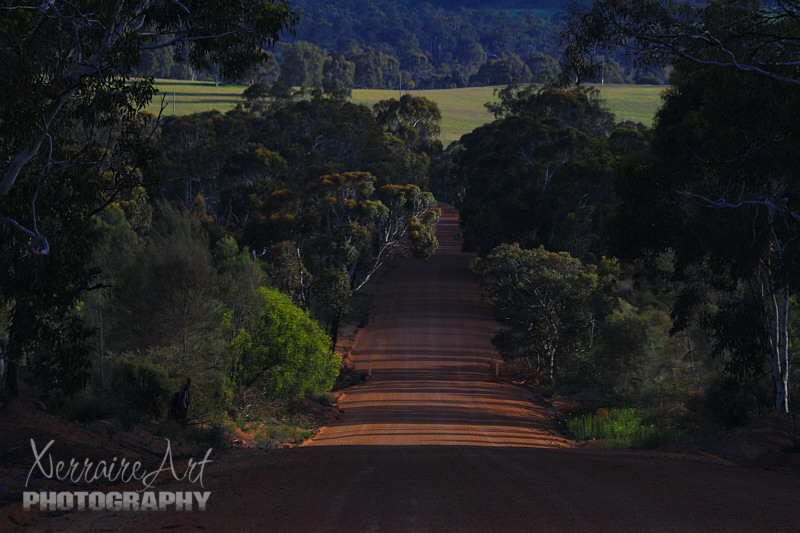 The back roads are now in my blood...