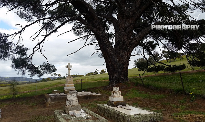 We revisited the cemetery next to the church, mainly because Silas was so impressed with the custom of graves near churches, "so you can know who used to go there."