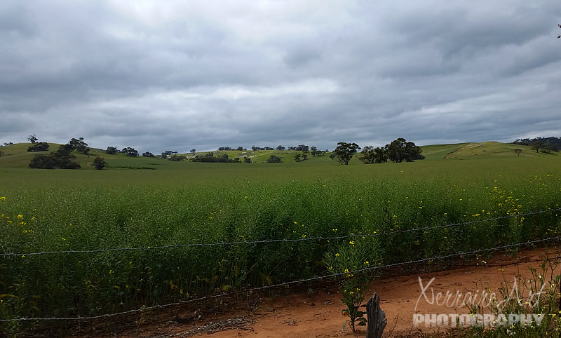 The Katrine road would be my ideal place to build a house.