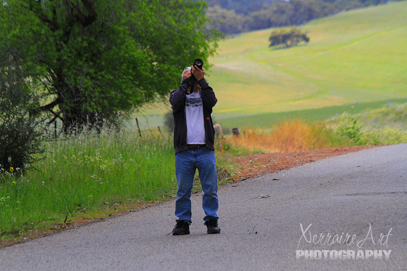 We both tried to capture the birds in photograph.