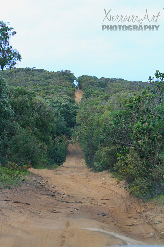 Off road.