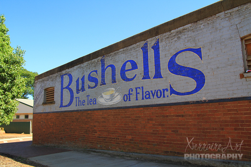 Bushells Tea