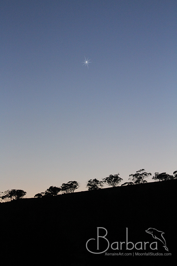 Last star