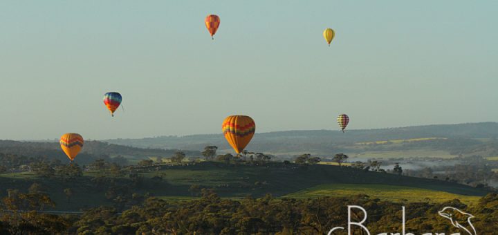 balloons over Northam Countryside