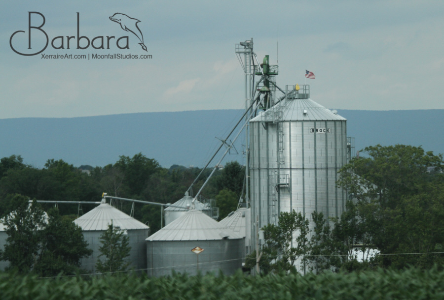 Another farm