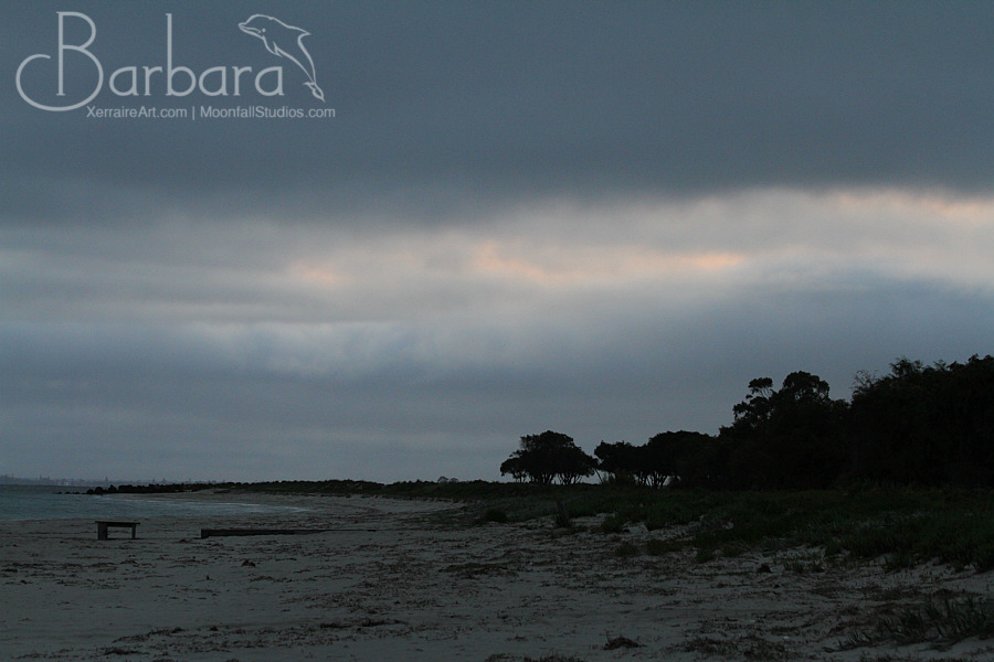 Dawn at Siesta Park