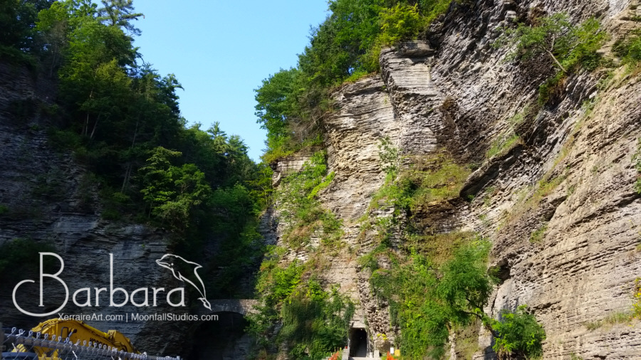 Watkins Glen