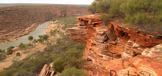 the Murchison River