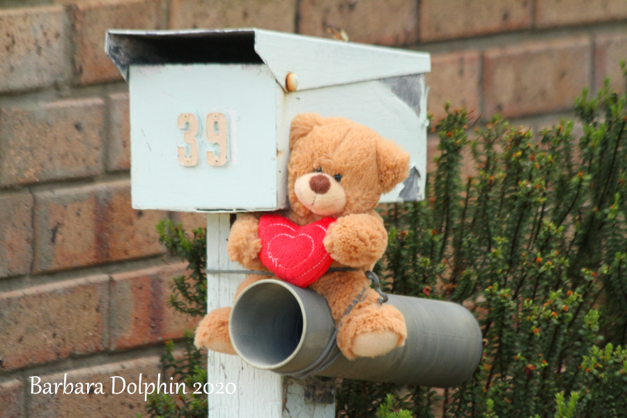 Bear on the mailbox