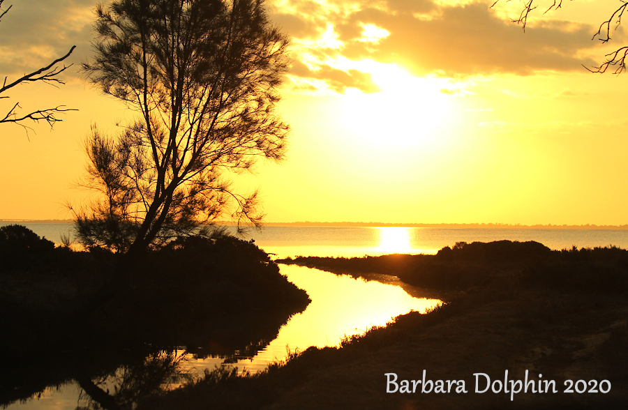 austin bay sunset