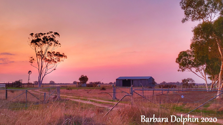 farm by Austin Bay