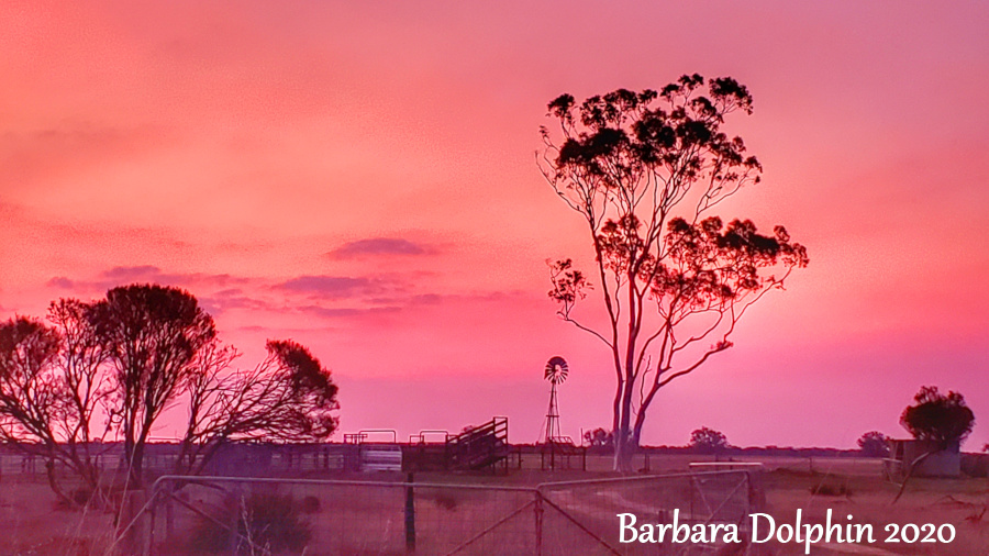 farm at twilight