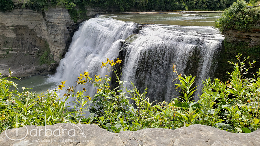 flowers and waterfall