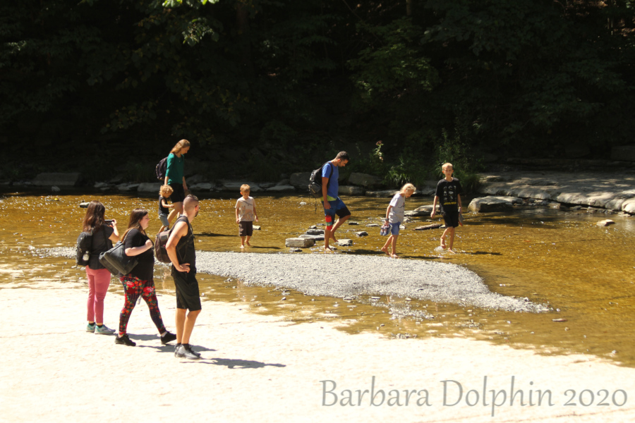 Walking the creek