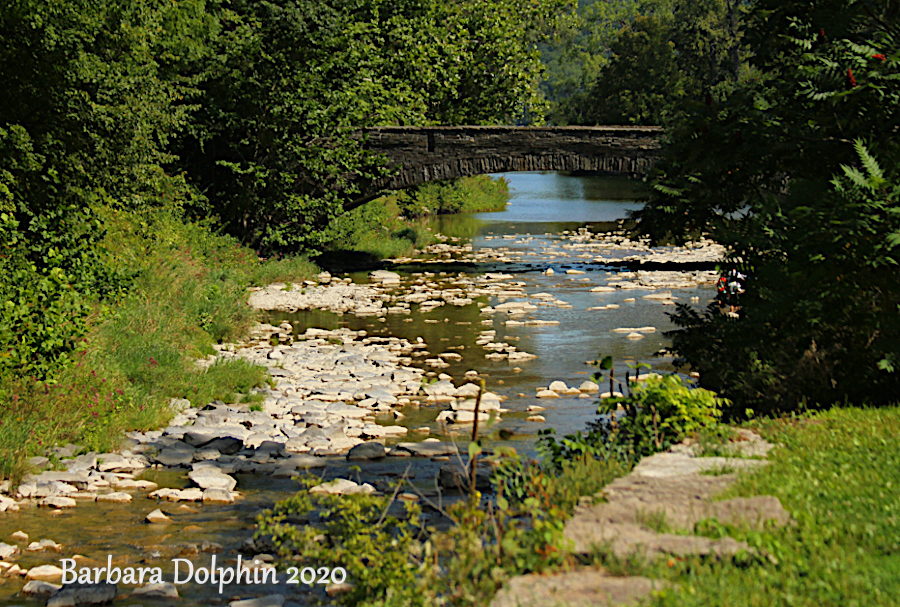 water along the trail