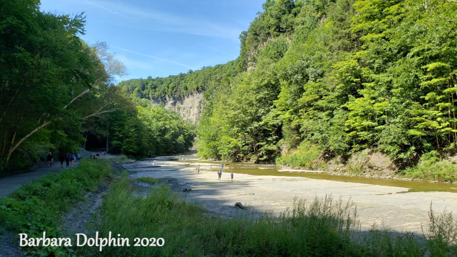 the expanse of the gorge