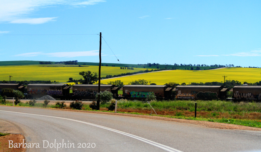 town, train and canola