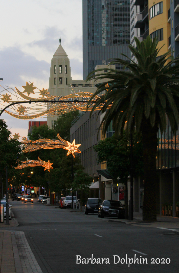 Christmas lights and Palm trees