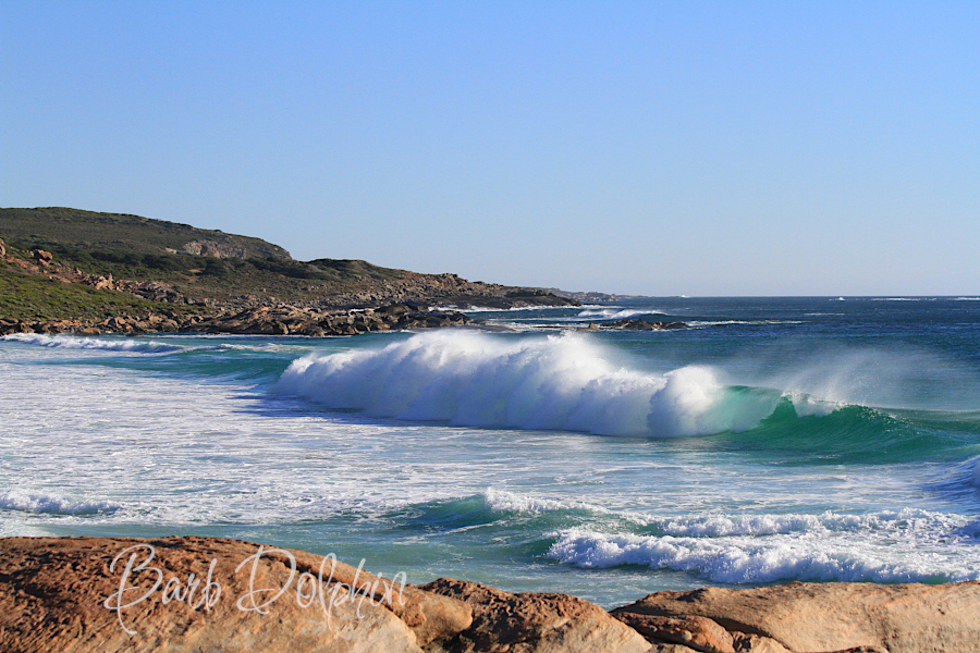 surfers like redgate