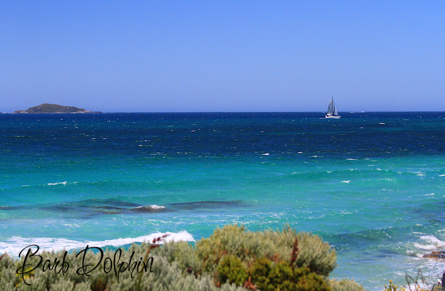 southern ocean
Western AUstralia
Near Augusta