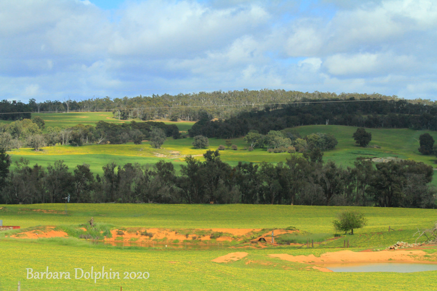 beautiful drive