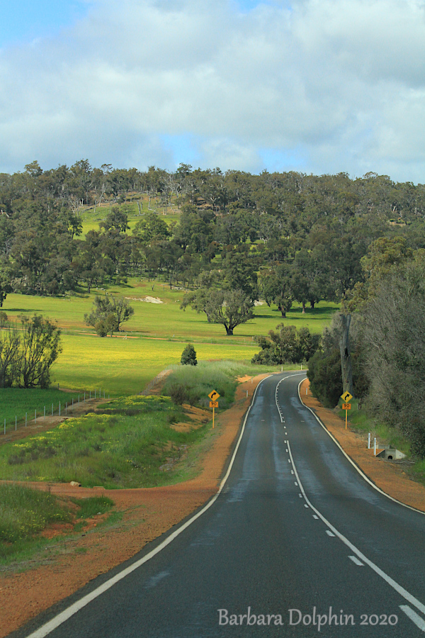 An Aussie road