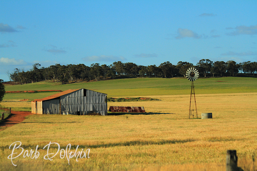 Aussie farm windmill