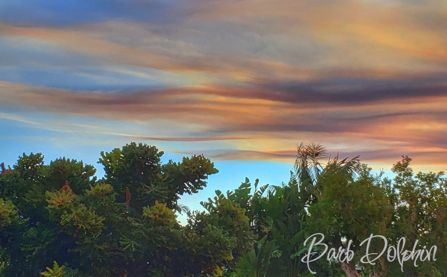 Bush Fire Sunset