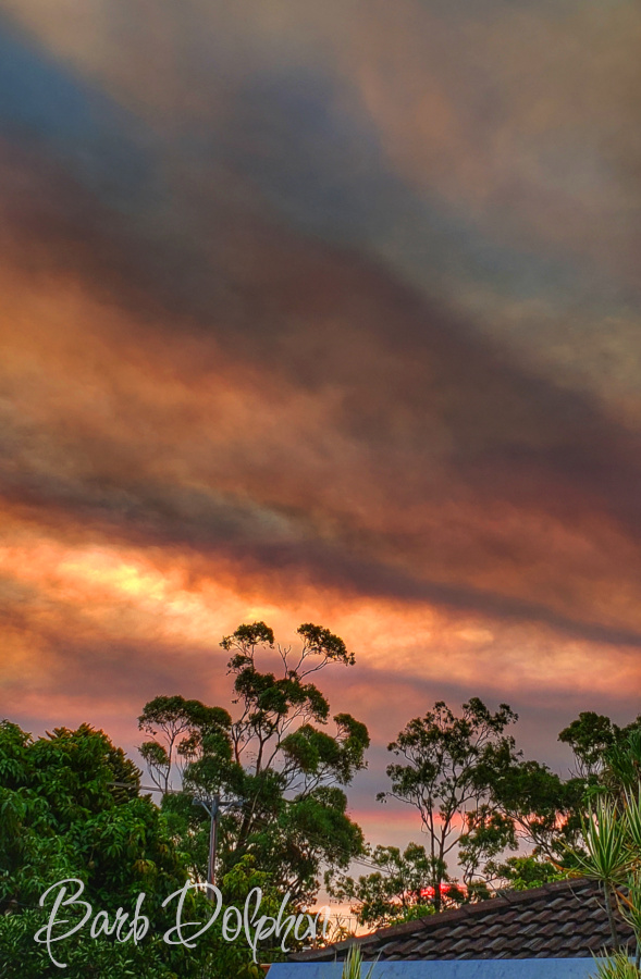 Bush Fire Sunset