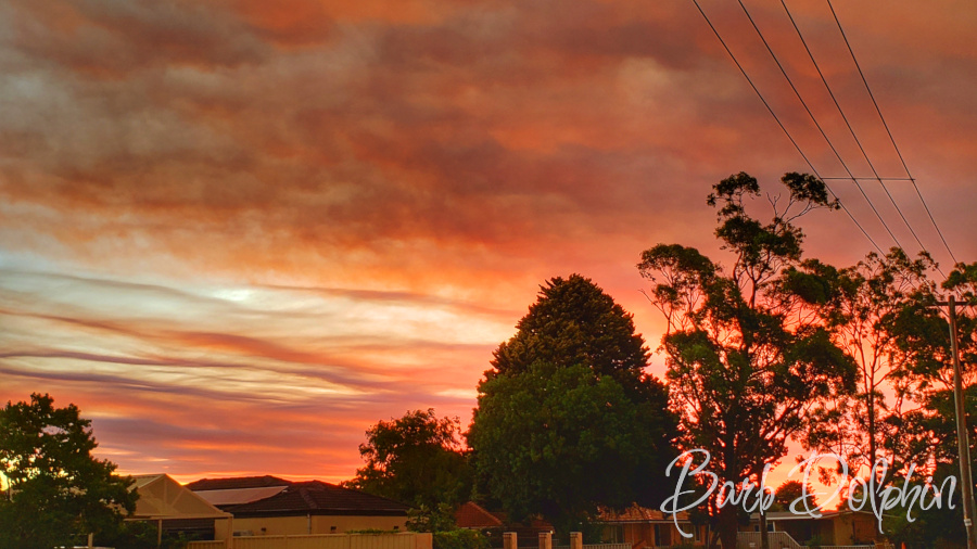 Bush Fire Sunset