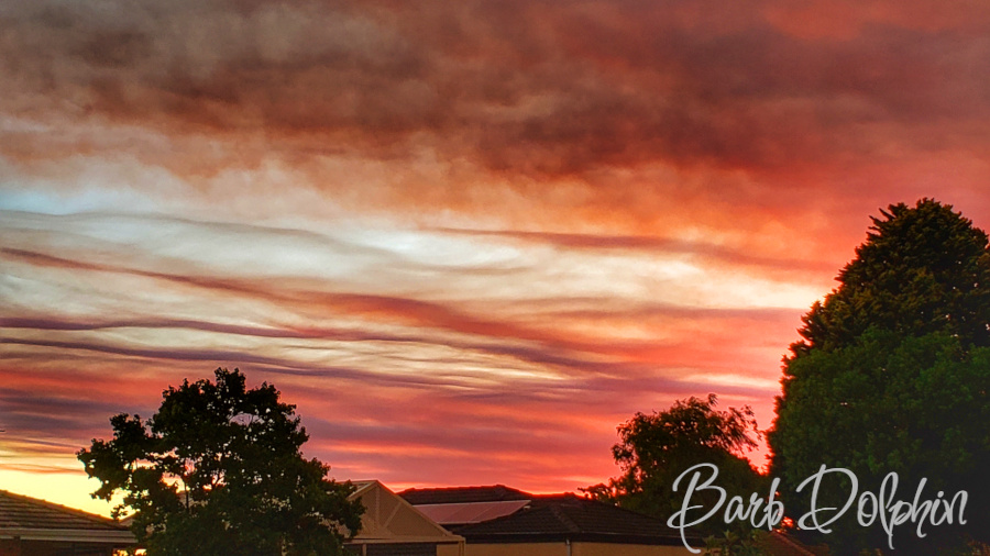 Bush Fire Sunset