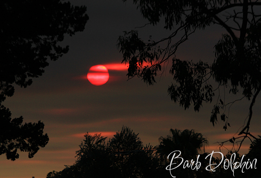 Bush Fire Sunset