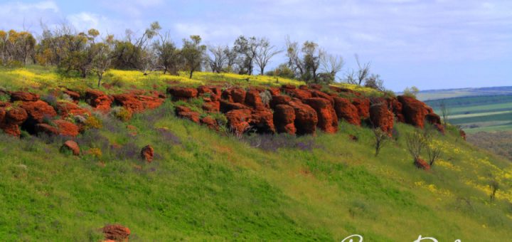 Mingenew Hill