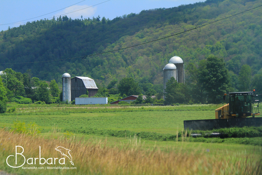 lovely farm scene