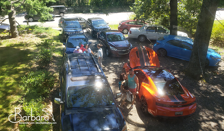 all of the cars