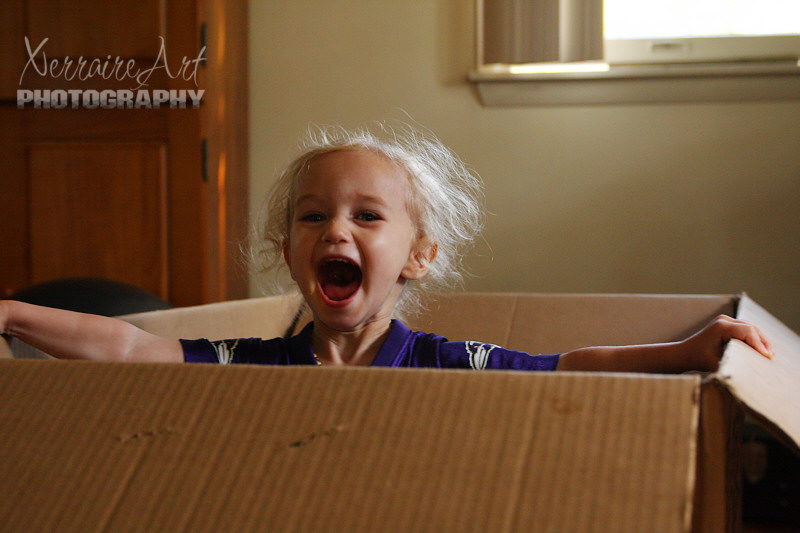 box6