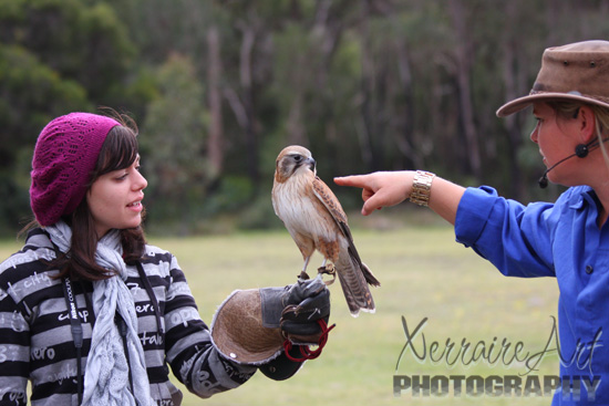 Laura gets to hold The Kestral