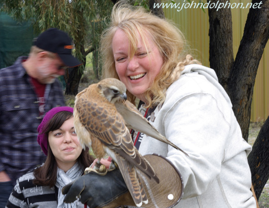 I was thrilled to hold one, and it was quite cozy there, preening itself for a good while.