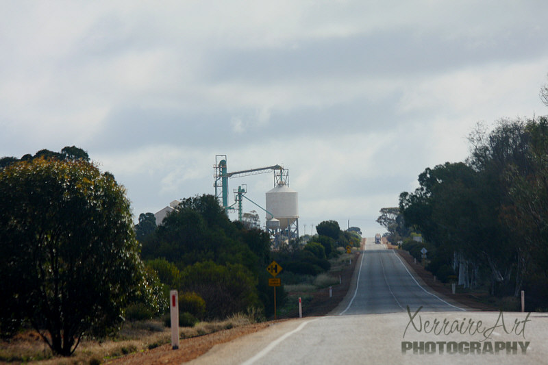 buntine1