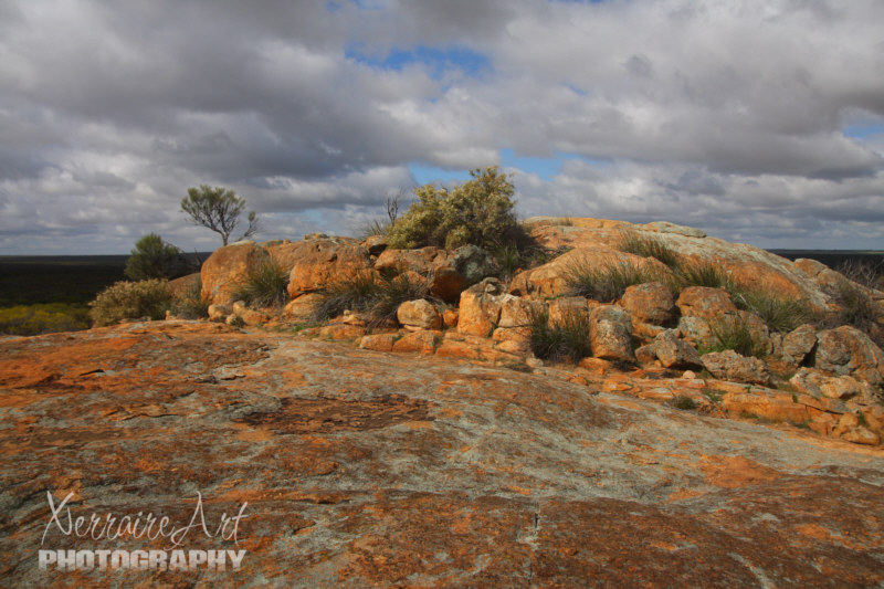buntine11