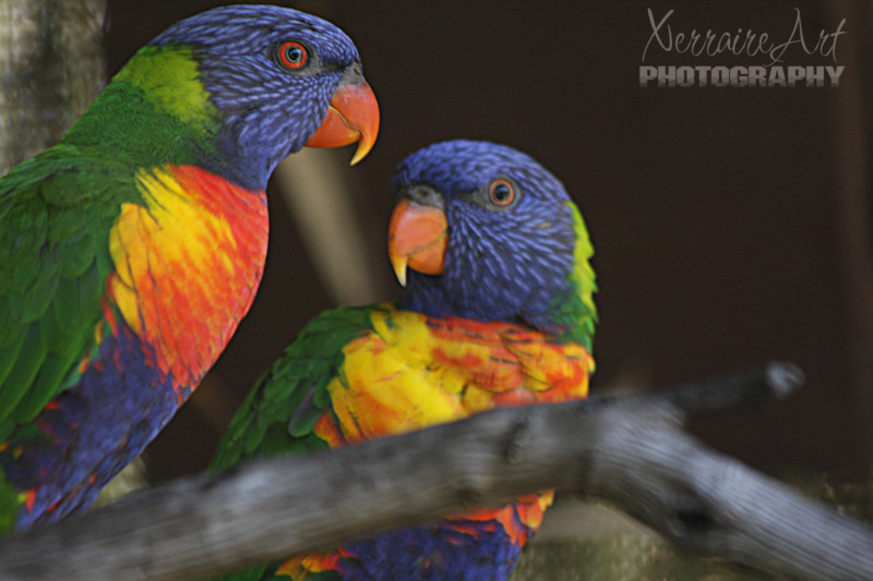 Caversham Wildlife Park (part 1)