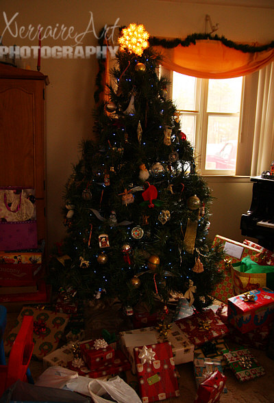 The tree on Christmas Day. Last night's presents cleared out, new ones brought in.