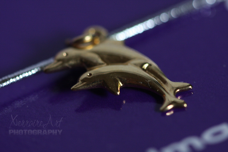 dolphin1