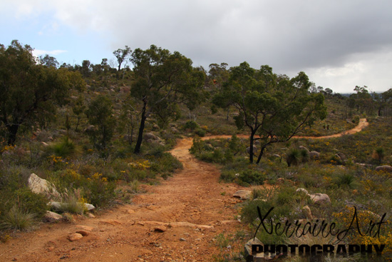 An inviting path but the rains weren't