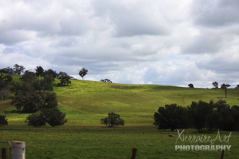 One reason is I just love getting away from the suburbs and enjoying the lush green hills.