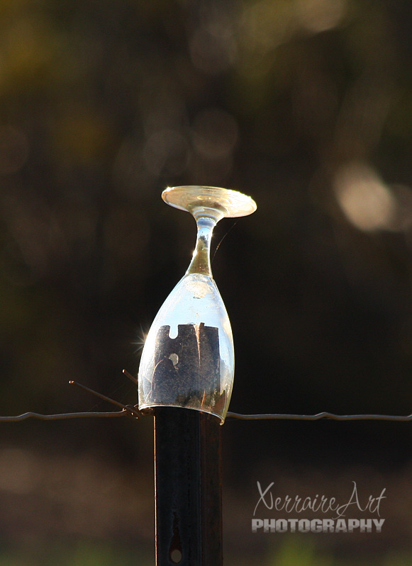 In your trek, you should always be careful of broken glass...