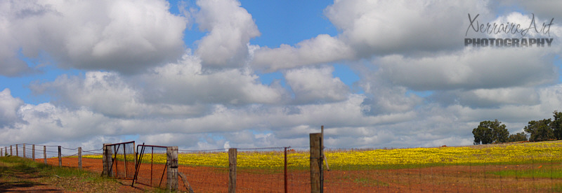 We stopped to do our orchid and wildflower hunting, but there was always time to take in the panoramas of the countryside.