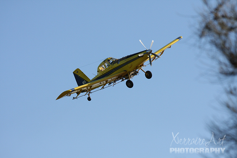 ..or be ready to duck out of the way of the crop-duster...